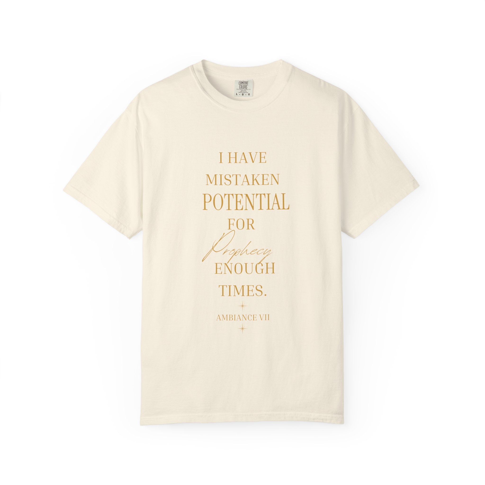 I Have Mistaken Potential for prophecy Enough Times- oversized  T-shirt