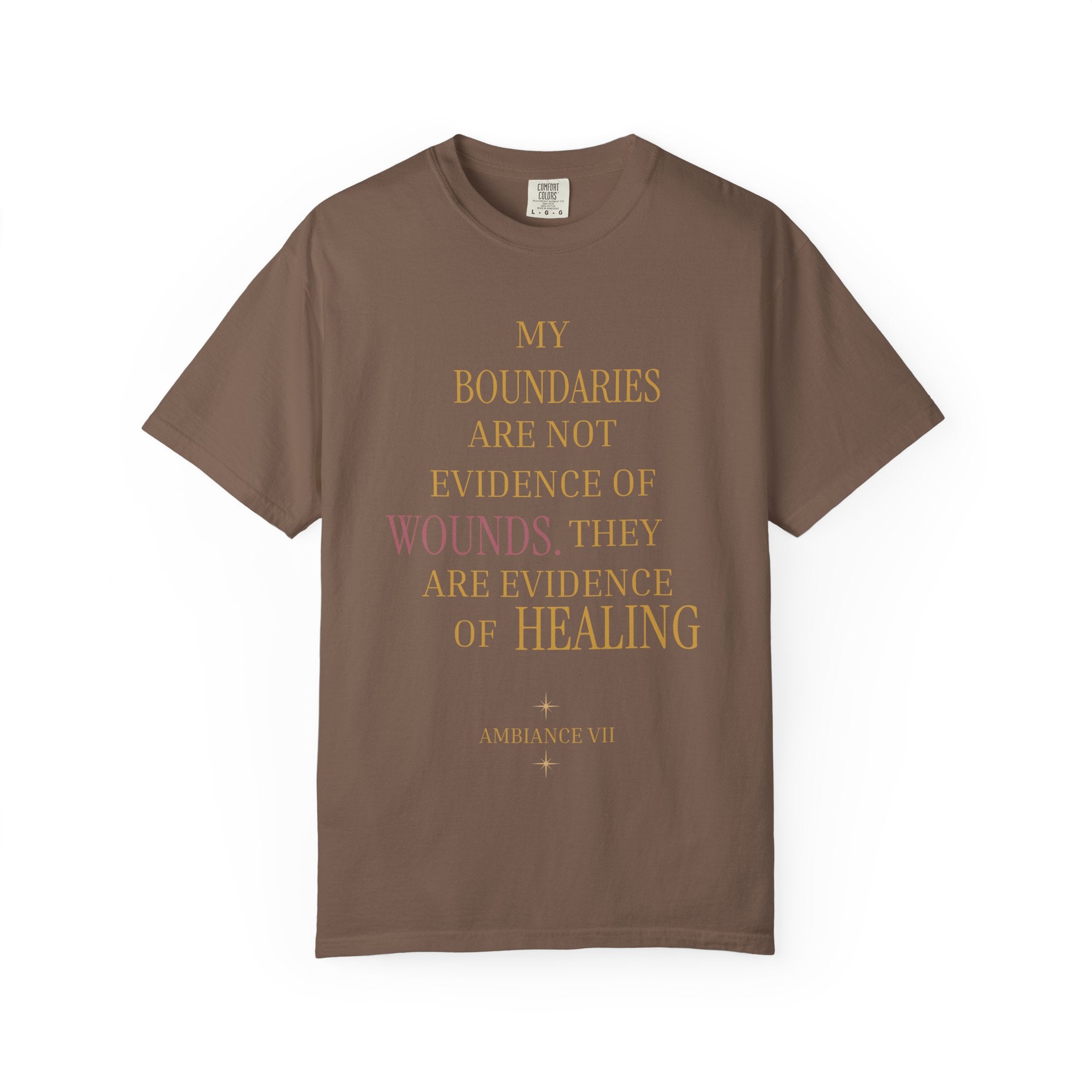 My Boundaries Are Evidence of Healing- oversized t shirt