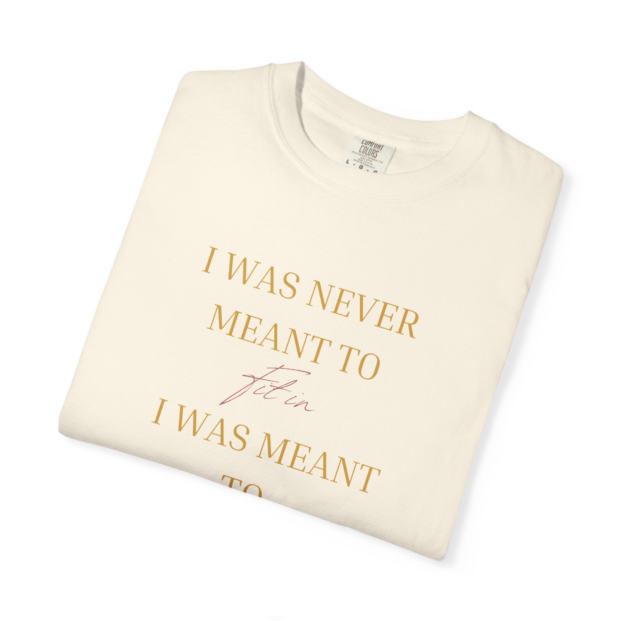 “I Was Never Meant to Fit IN ”OVERSIZED T SHIRT