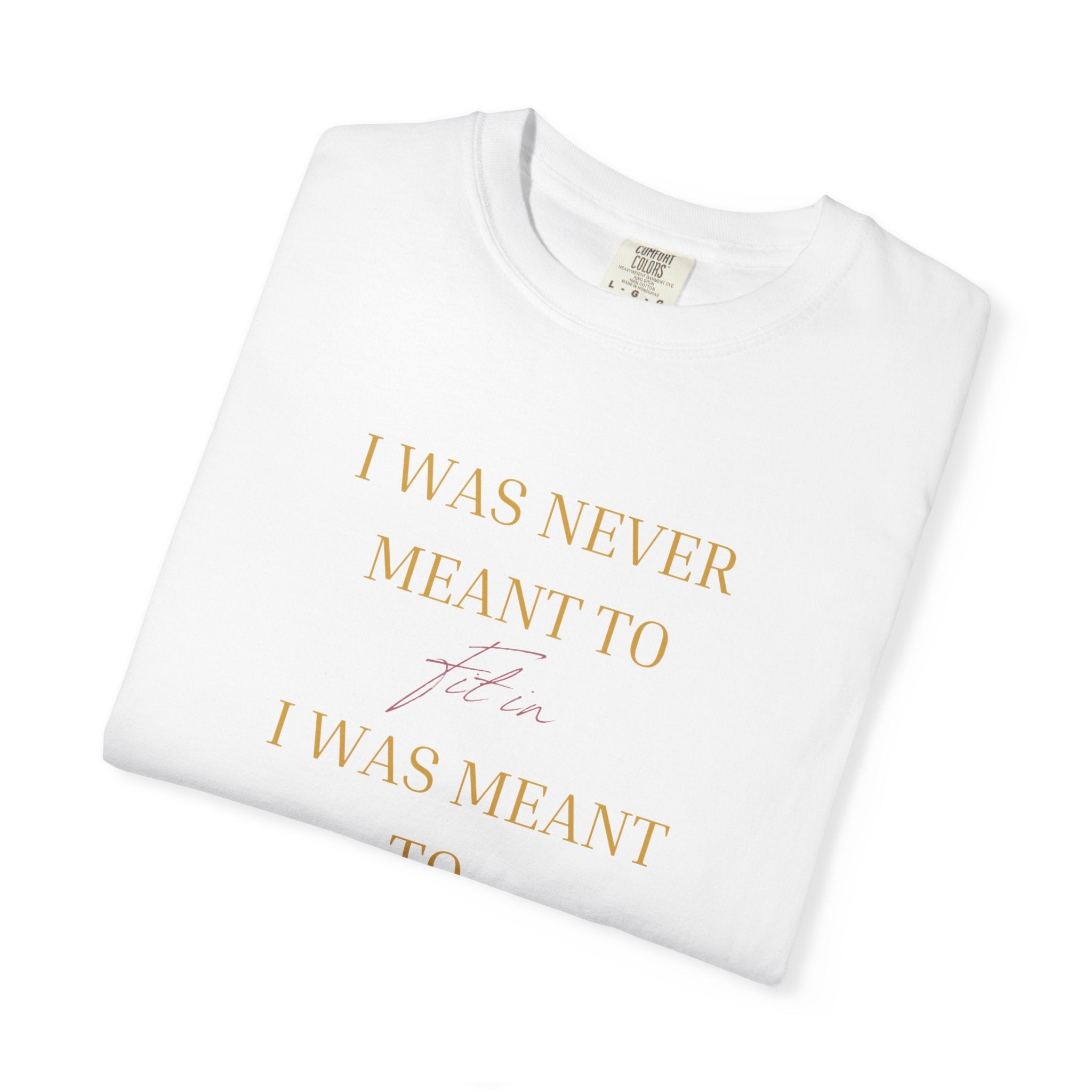 “I Was Never Meant to Fit IN ”OVERSIZED T SHIRT