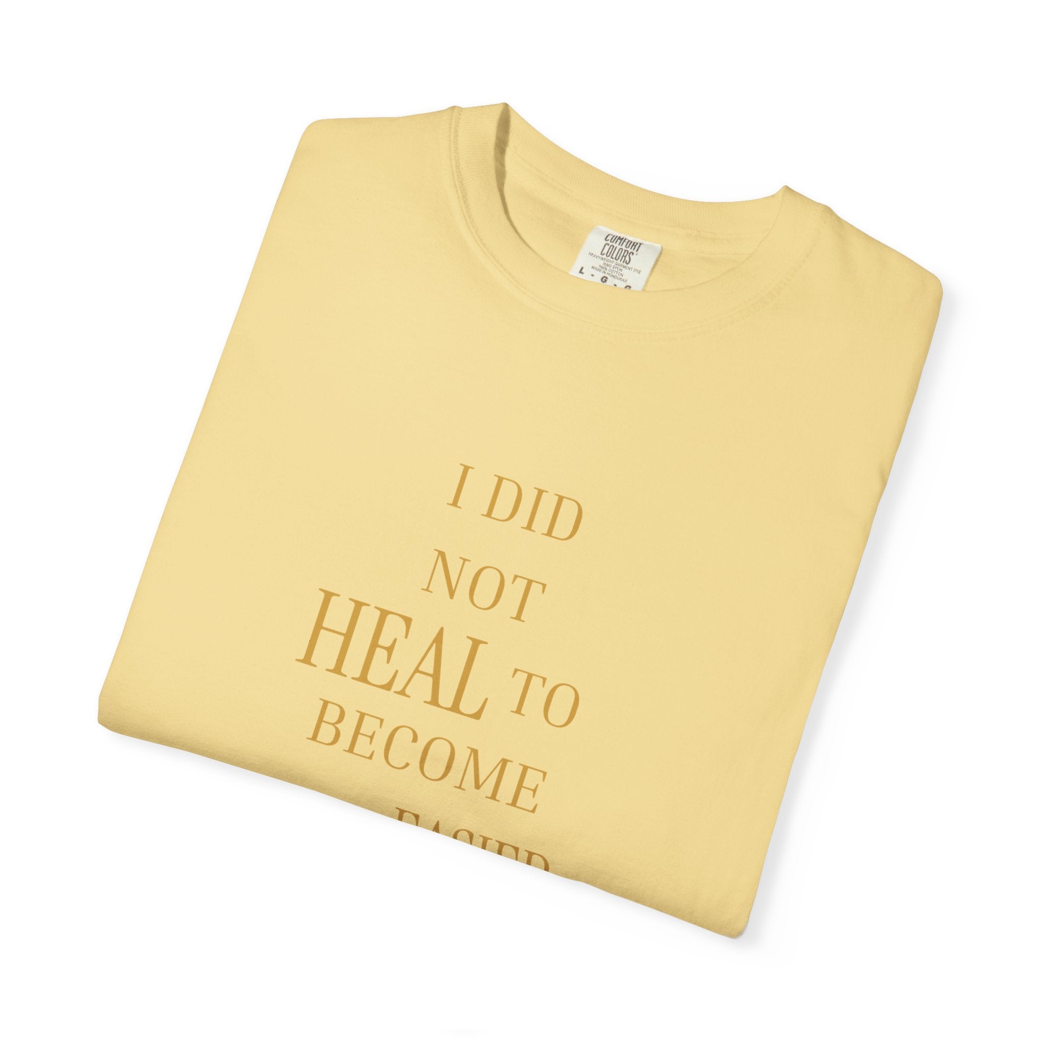 I Did Not Heal to Become Easier to Hold- oversized t-shirt