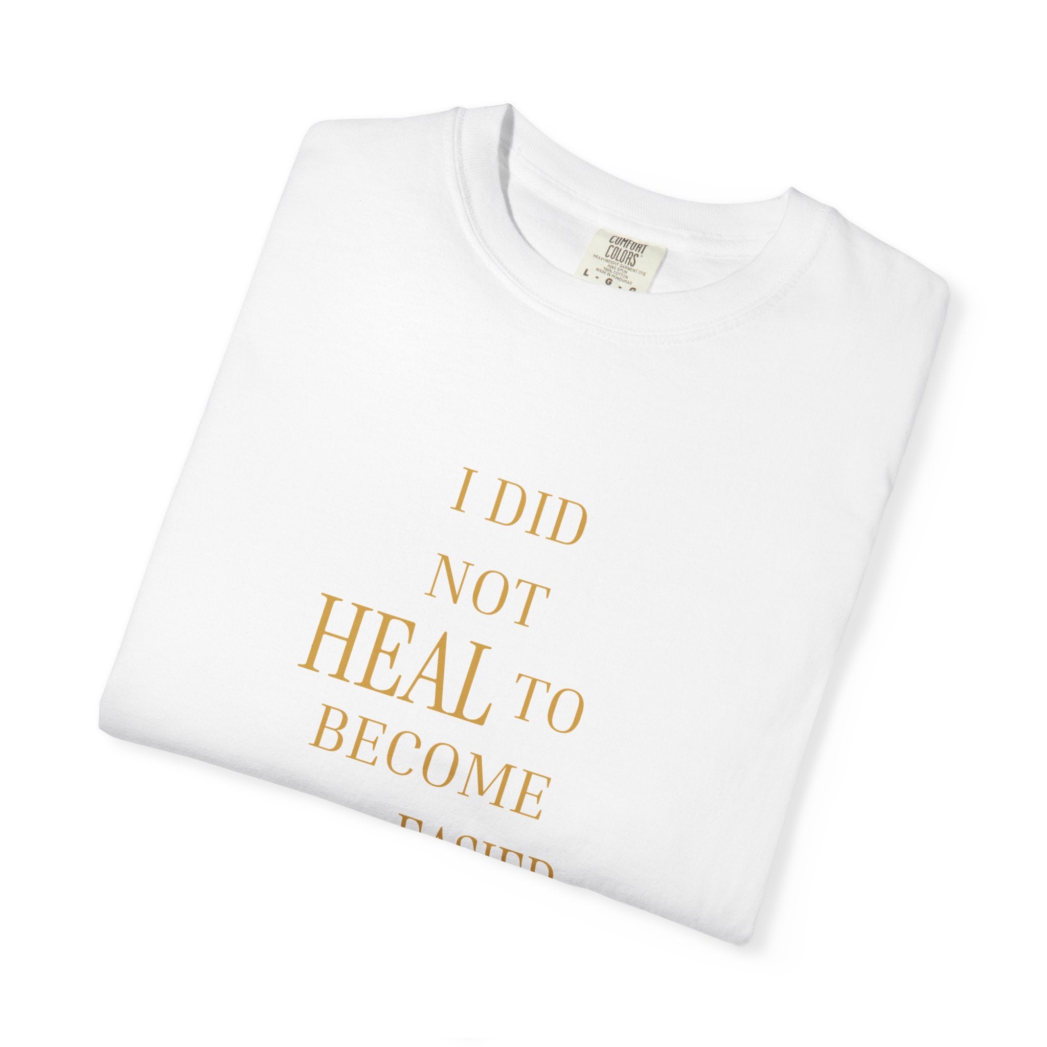 I Did Not Heal to Become Easier to Hold- oversized t-shirt