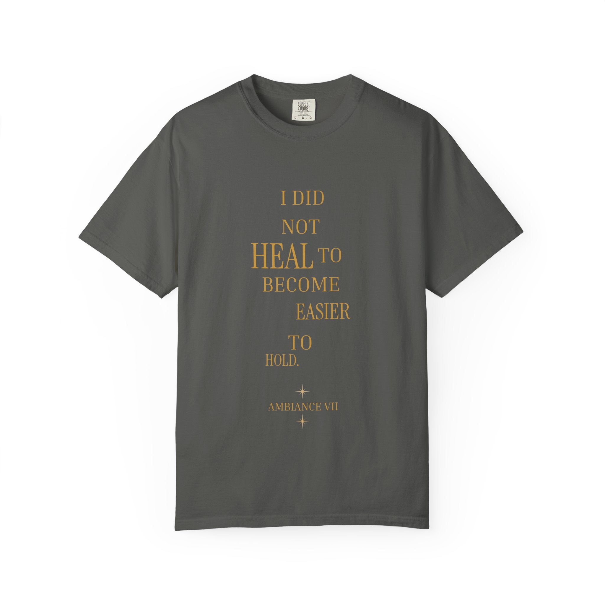 I Did Not Heal to Become Easier to Hold- oversized t-shirt