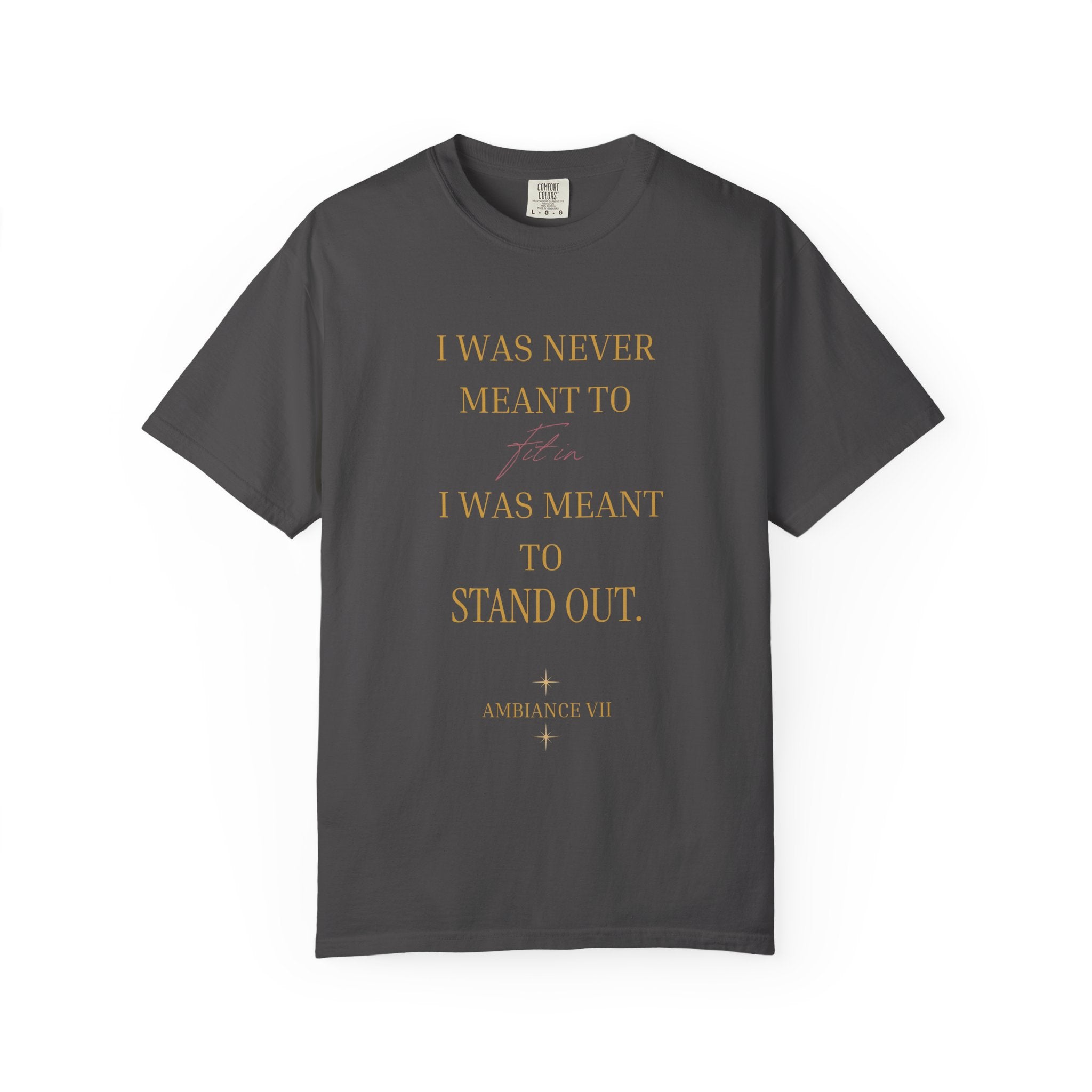“I Was Never Meant to Fit IN ”OVERSIZED T SHIRT